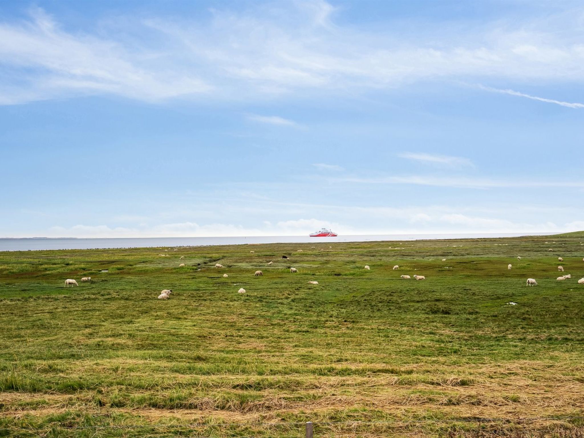 "Rohan" - 2.2km from the sea - Buiten