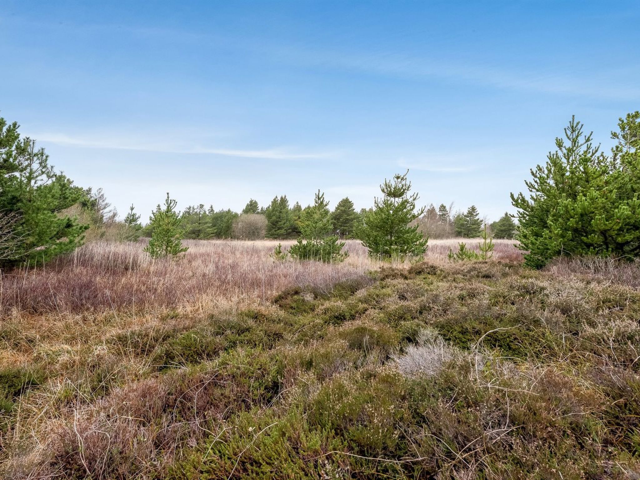 "Elpida" - 2km from the sea - Buiten