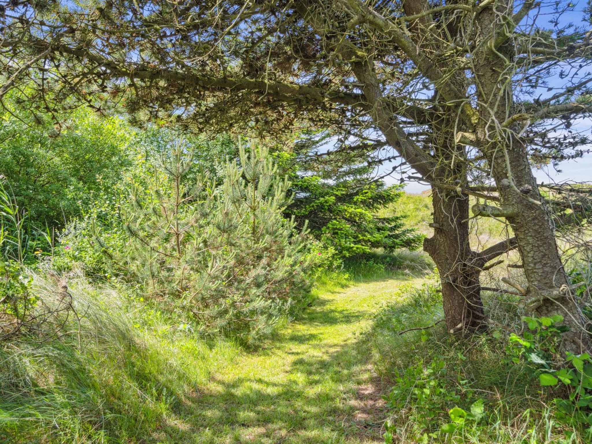 "Hunlef" - 1.7km from the sea