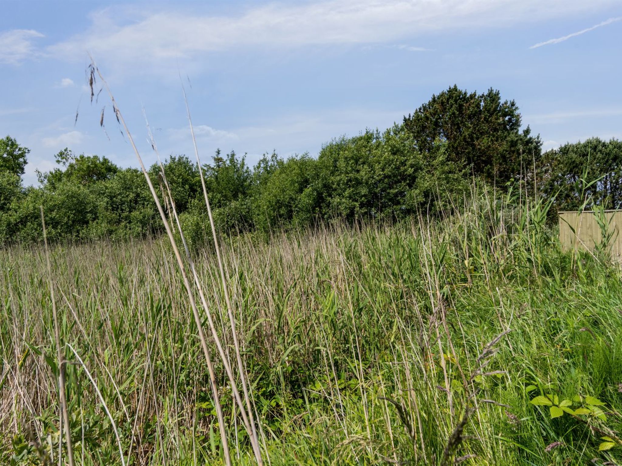 "Hunlef" - 1.7km from the sea - Draußen