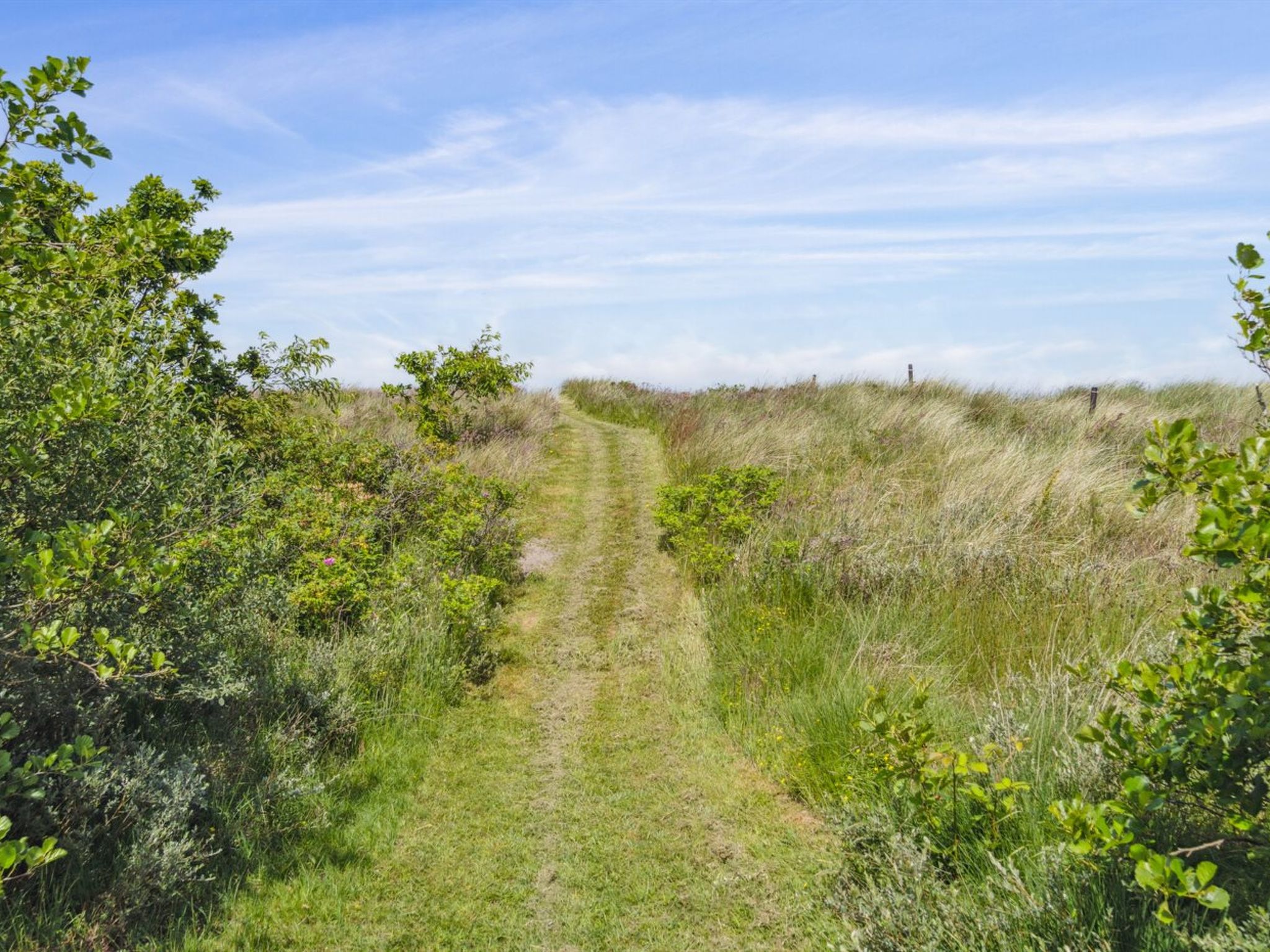 "Hunlef" - 1.7km from the sea - Draußen
