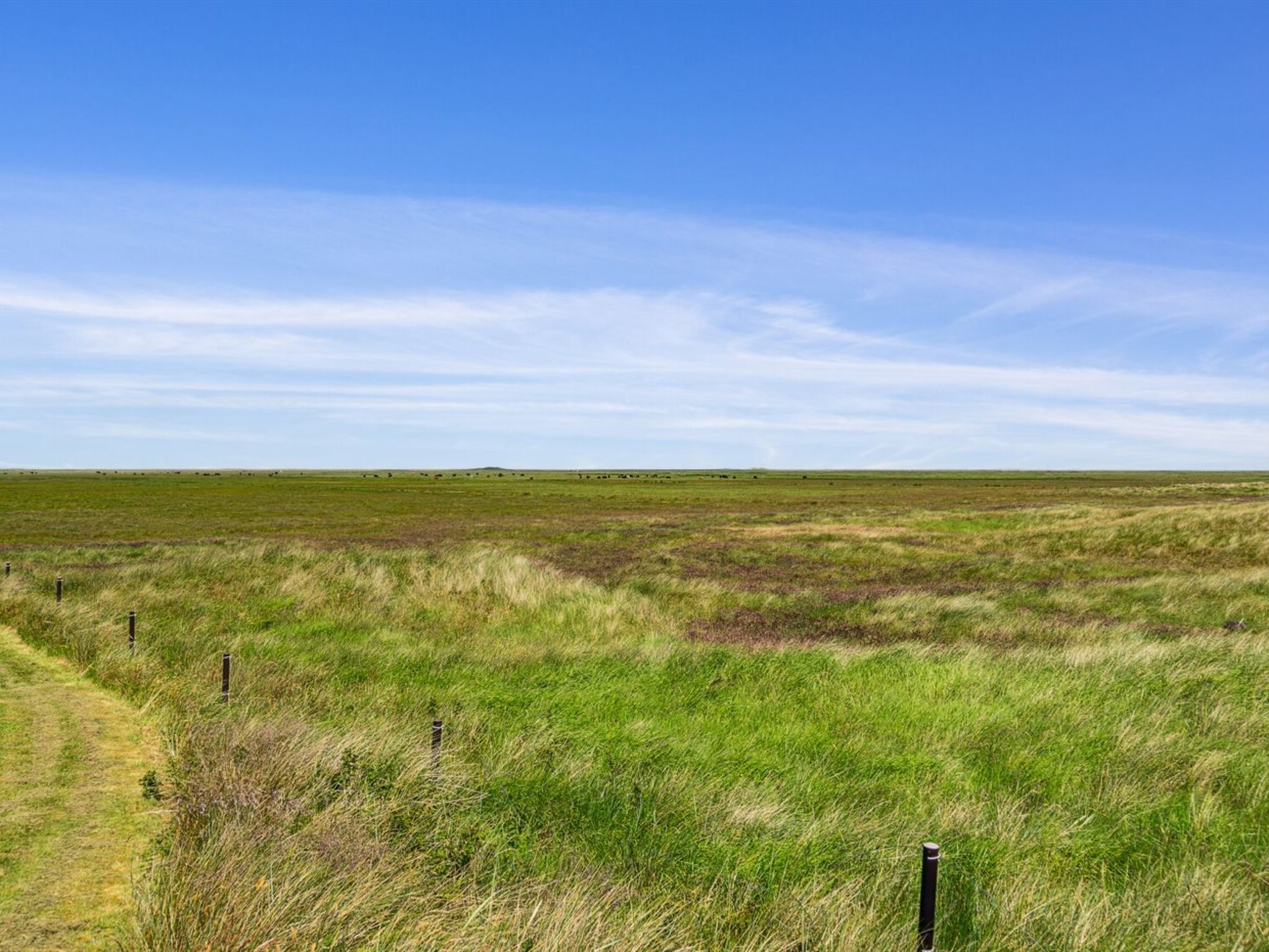 "Hunlef" - 1.7km from the sea - Draußen
