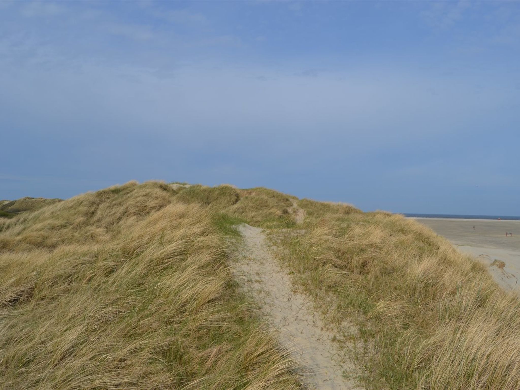 "Hariet" - 300m from the sea