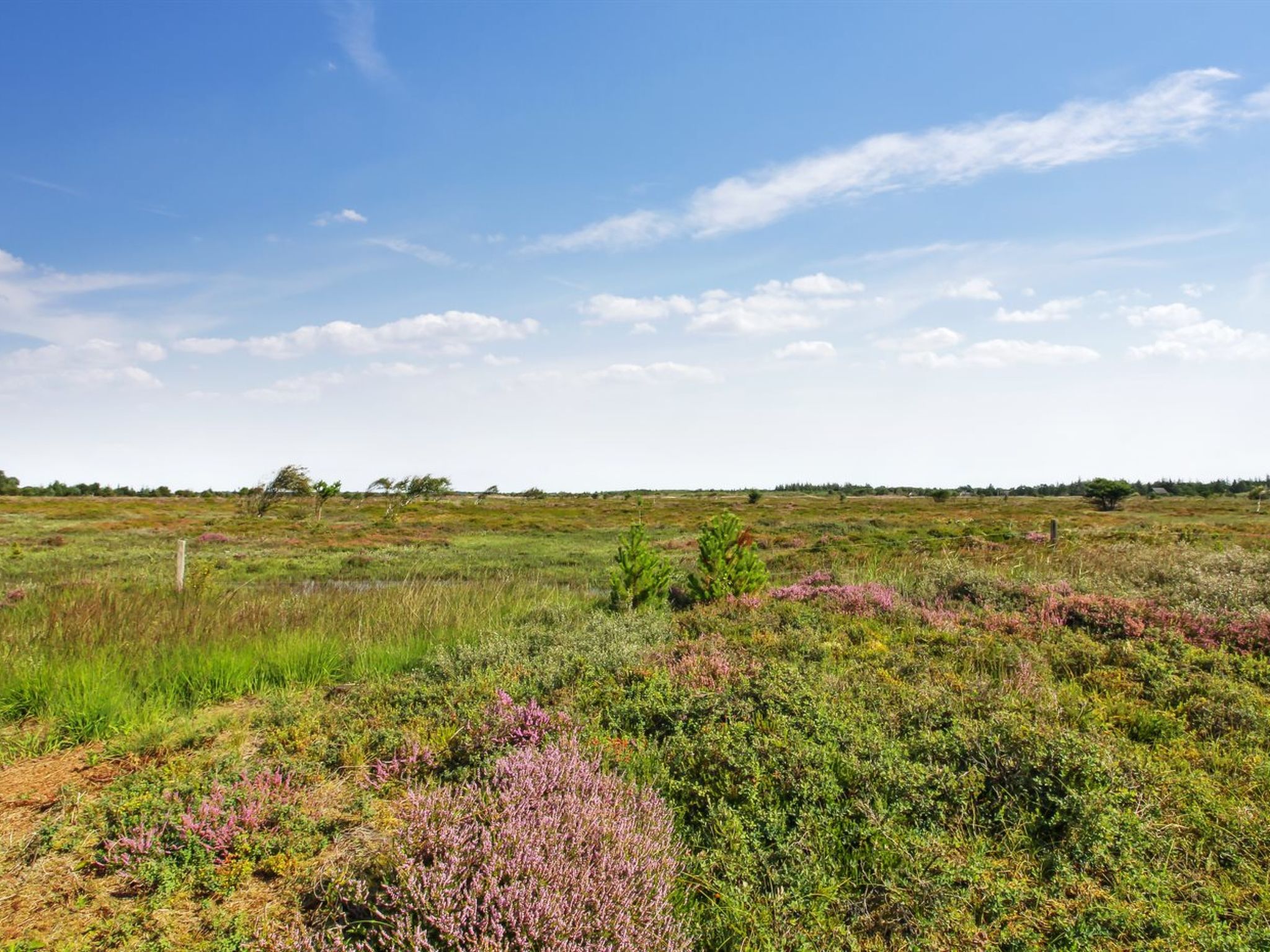 "Golubinka" - 2.5km from the sea