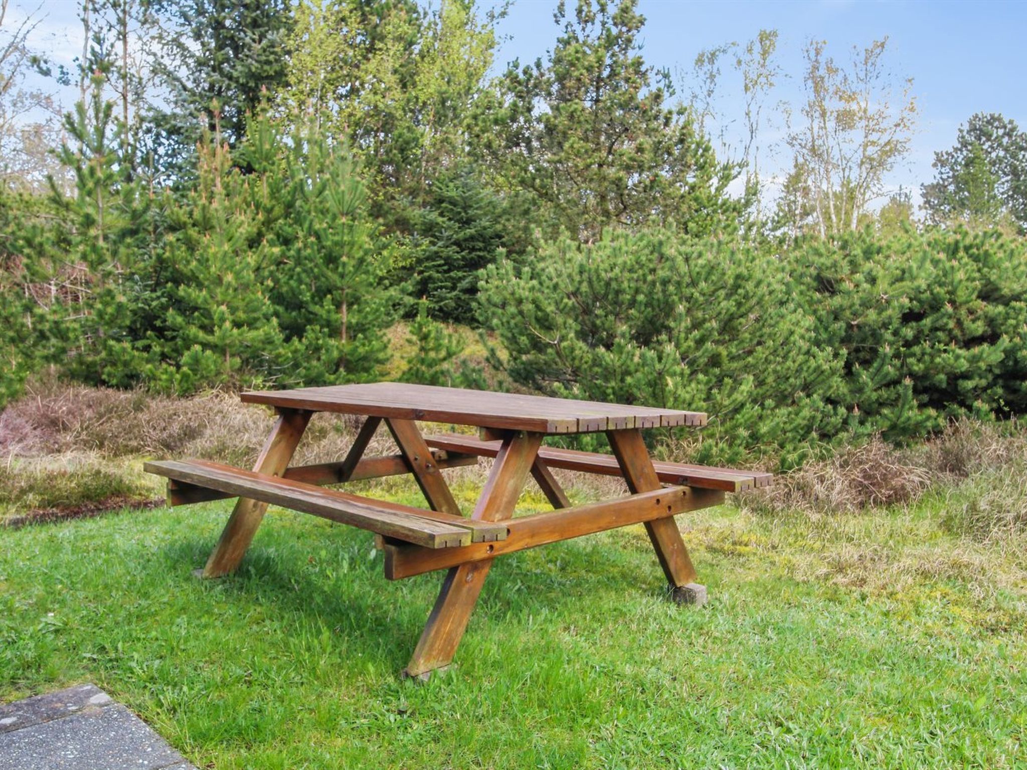 "Rufina" - 3.5km from the sea - Outside