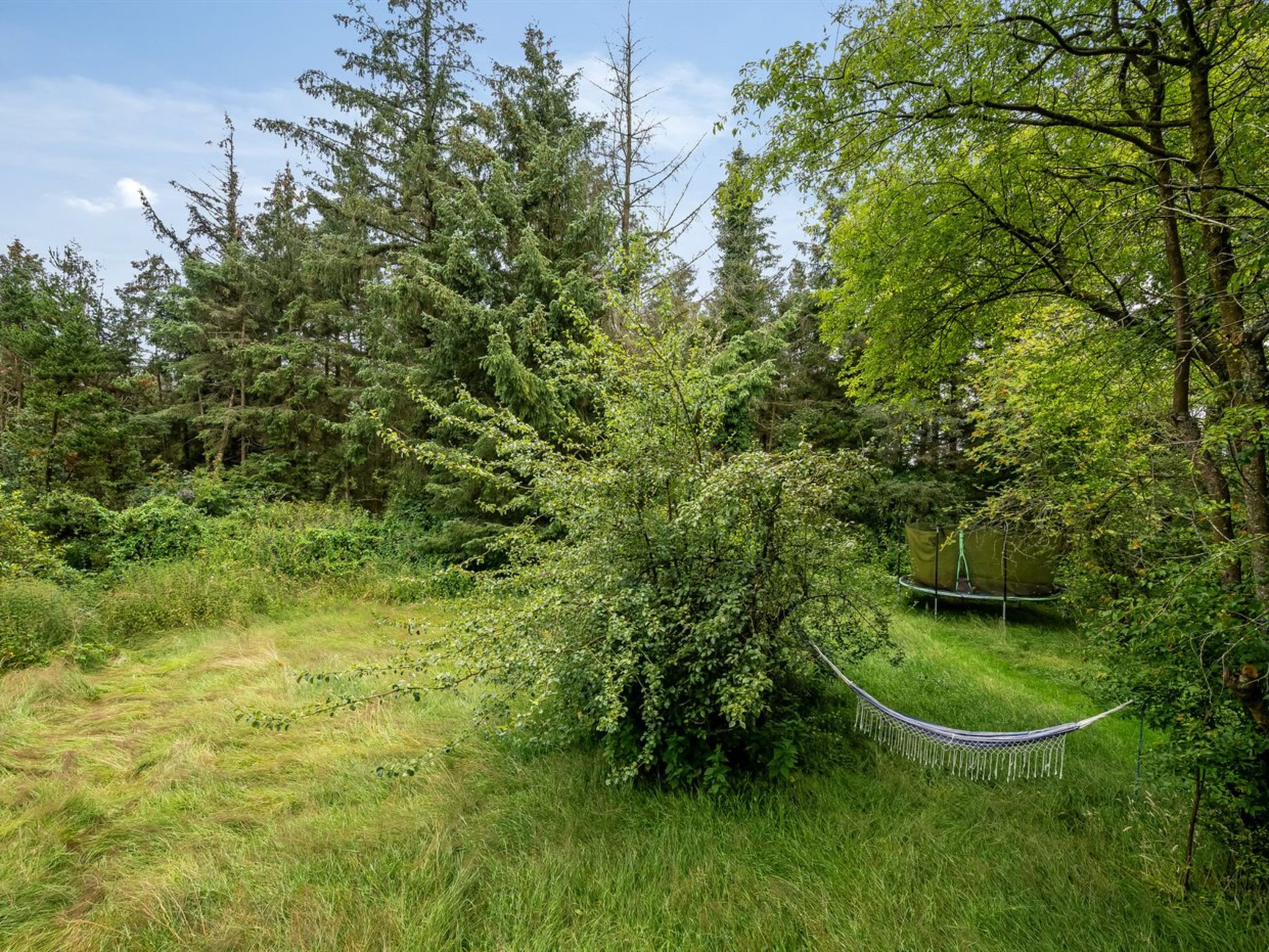 "Wiss" - 4.1km from the sea - Outside