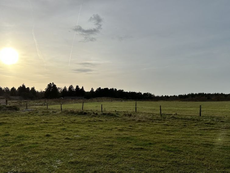 Place