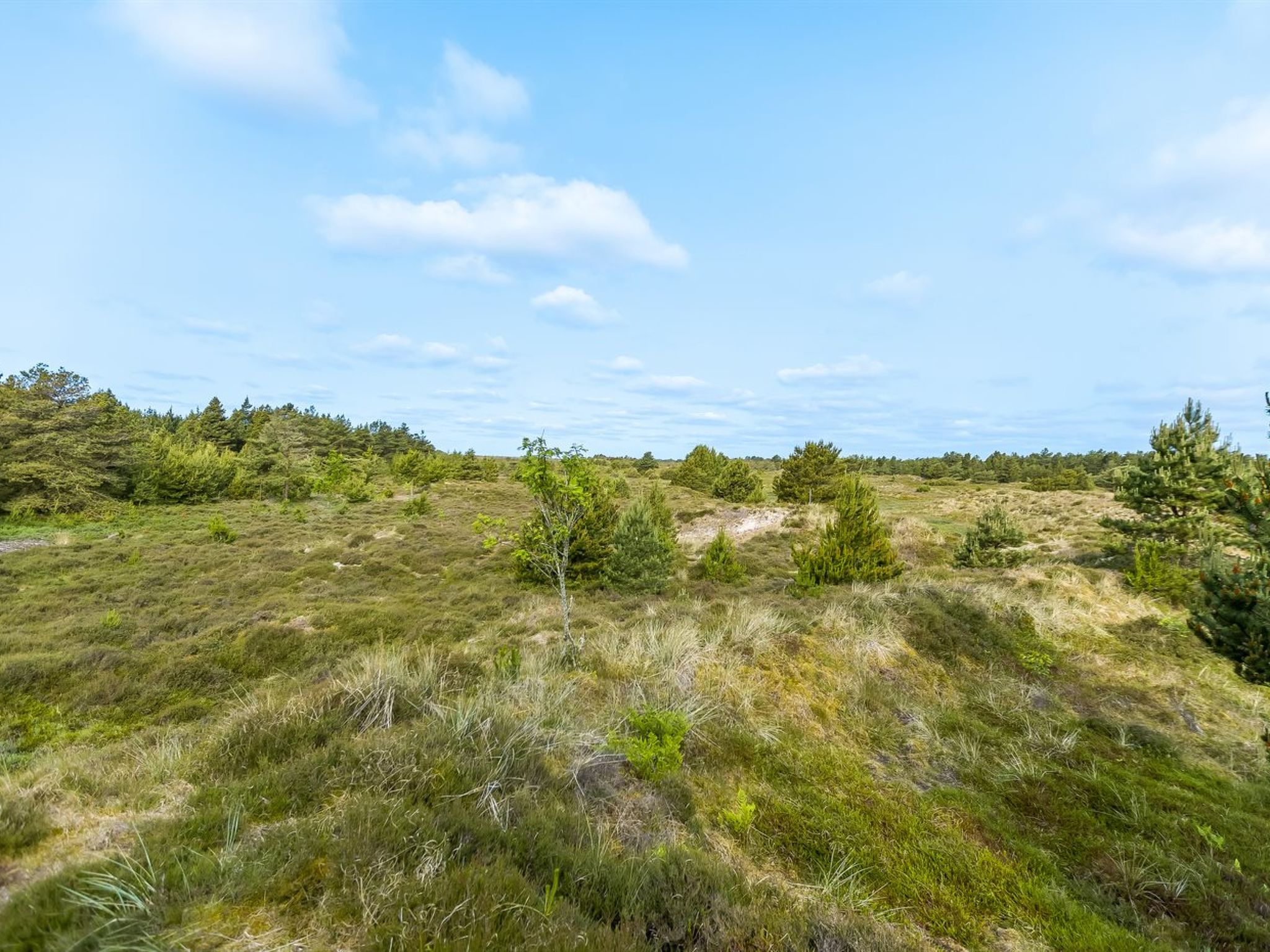 "Ibbe" - 3.5km from the sea-Buiten
