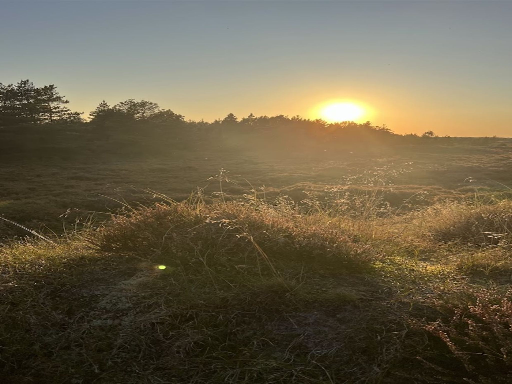"Ibbe" - 3.5km from the sea-Dehors