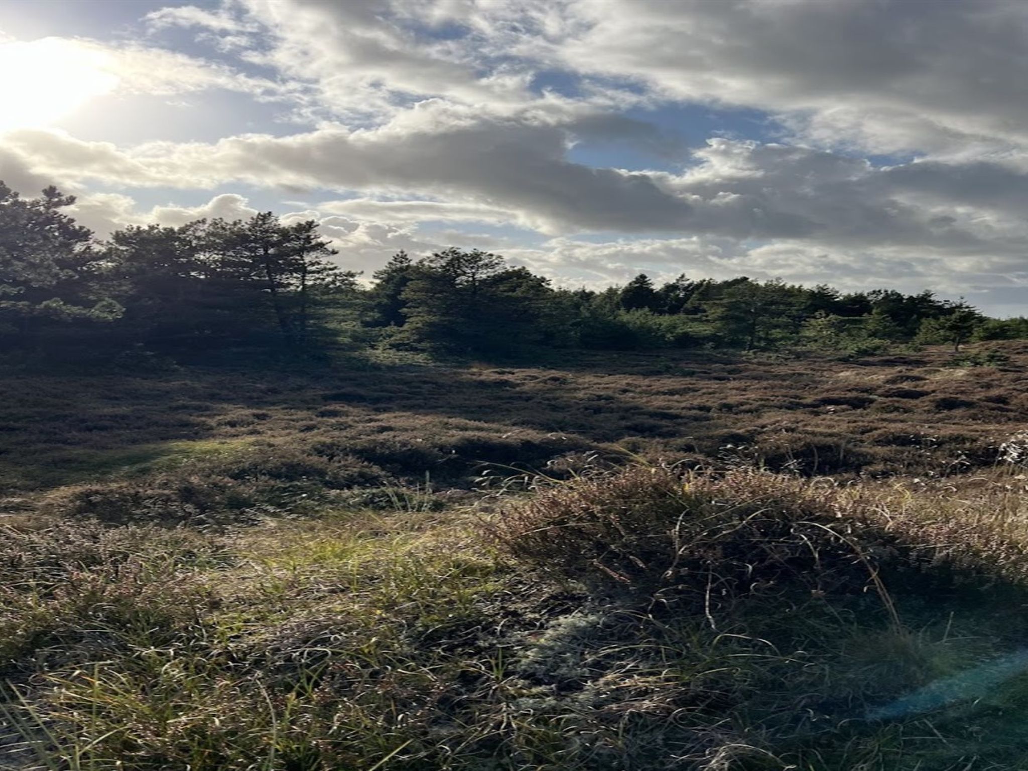 "Ibbe" - 3.5km from the sea-Dehors