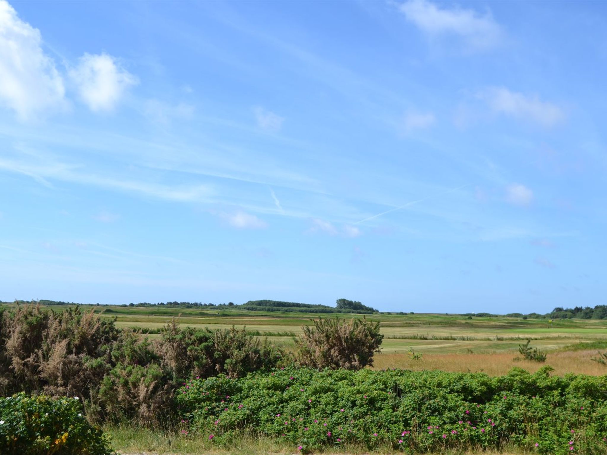 "Steffan" - 2.3km from the sea-Outside