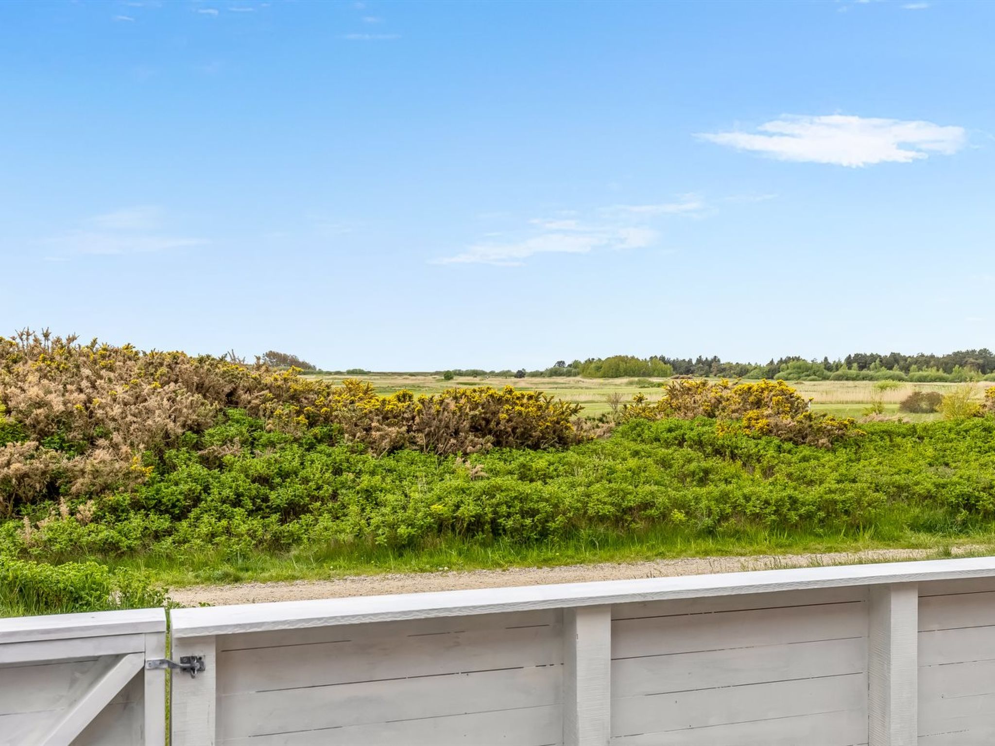 "Steffan" - 2.3km from the sea
