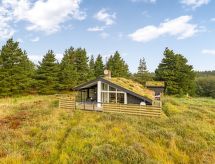Vrijstaande vakantiewoning Tole op 2 km van de Rømø stranden - thumbnail 1