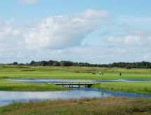 Ruime vakantiewoning Alvina met privézwembad op 3,2 km van de zee op Rømø - thumbnail 4