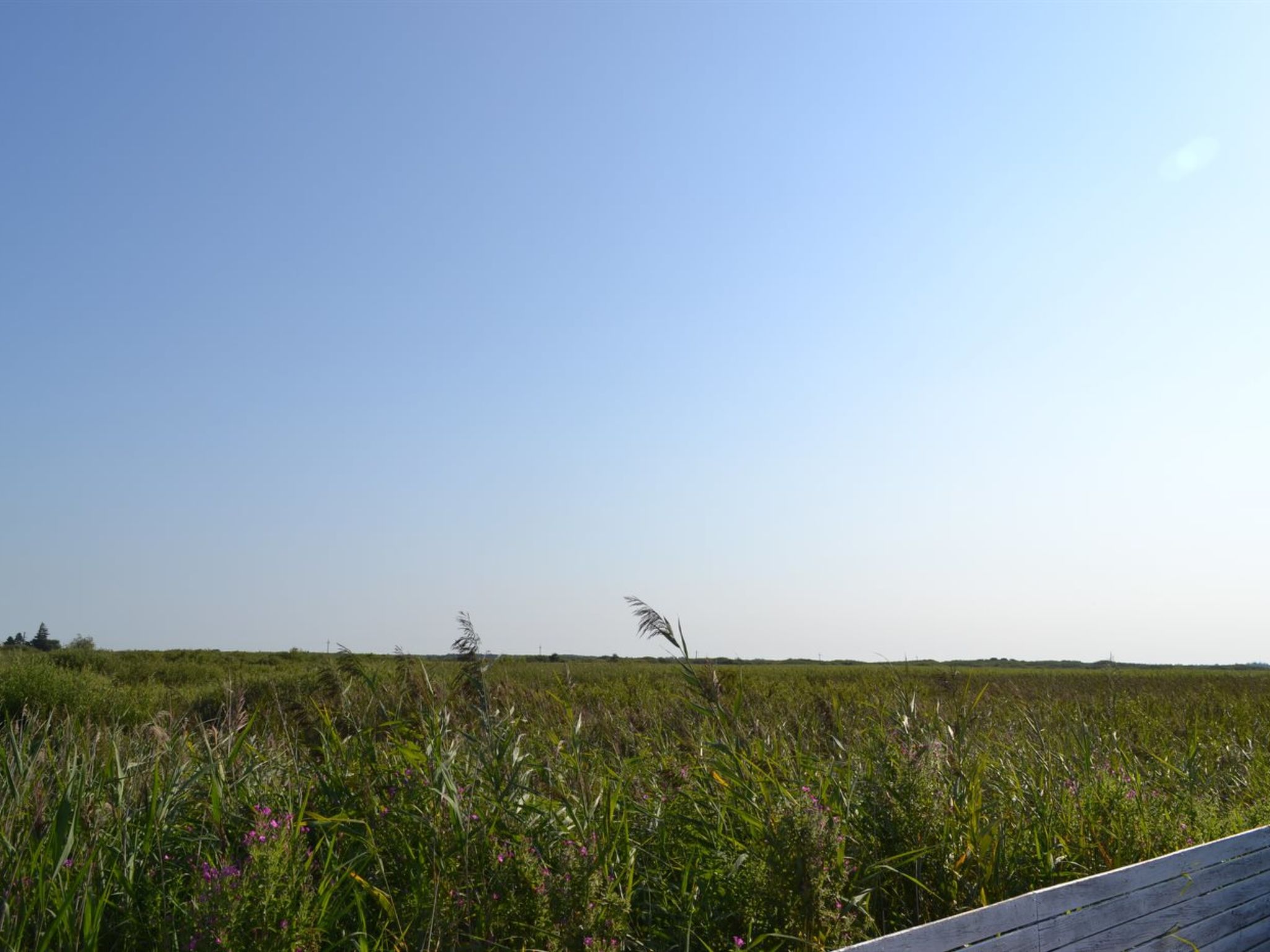 "Scarlet" - 500m from the sea - Buiten