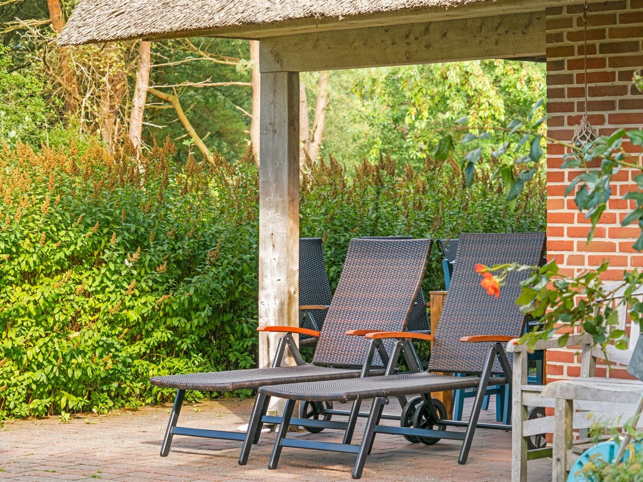 "Ariela" - 1.1km from the sea — Terrace (3 of 37)