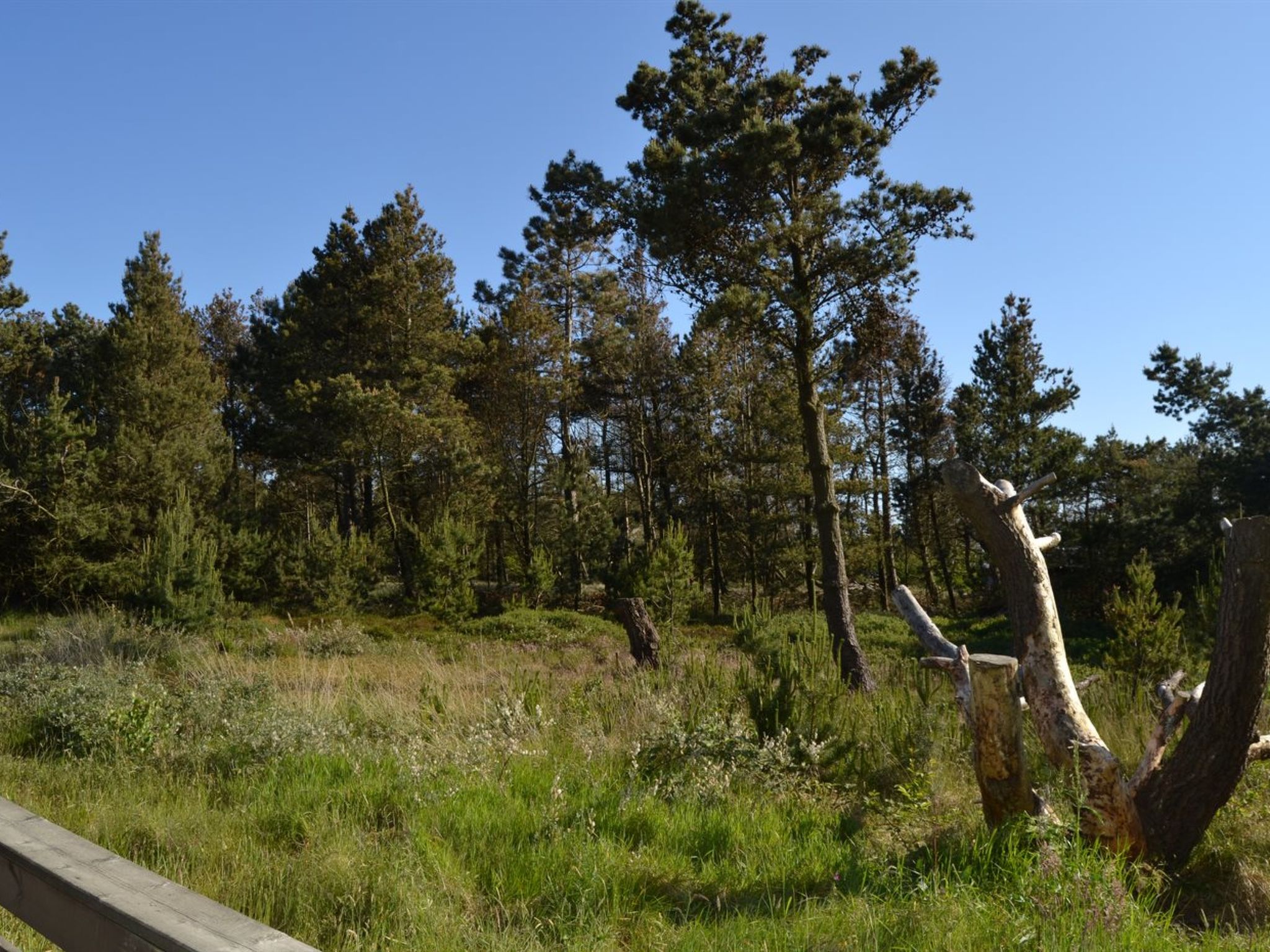 "Harthwik" - 1km from the sea
