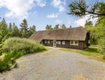 Ruime vakantiewoning Ellanor op Rømø met privézwembad, 1 km van strand - thumbnail 1