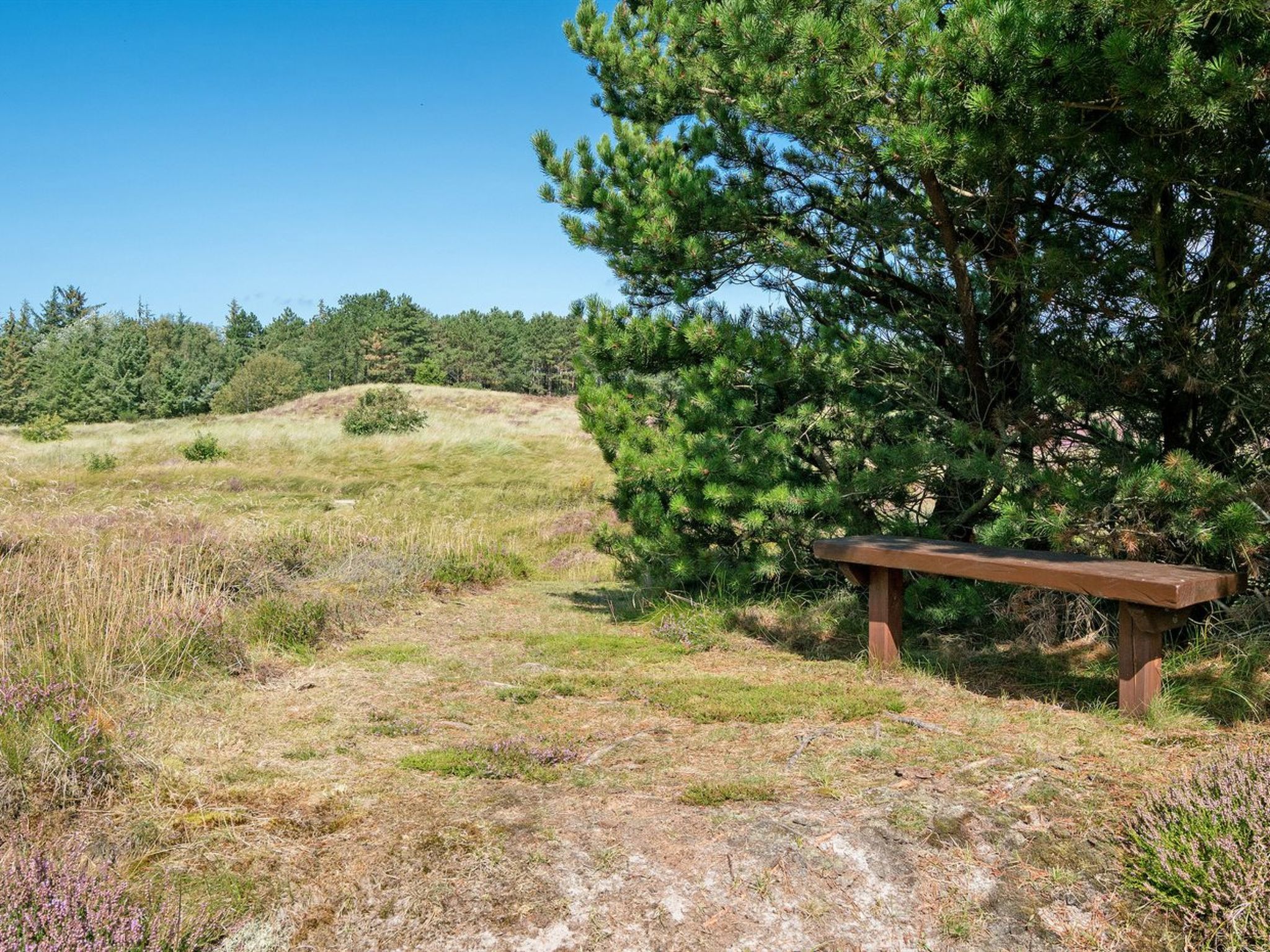 "Siegried" - 2.2km from the sea - Dehors