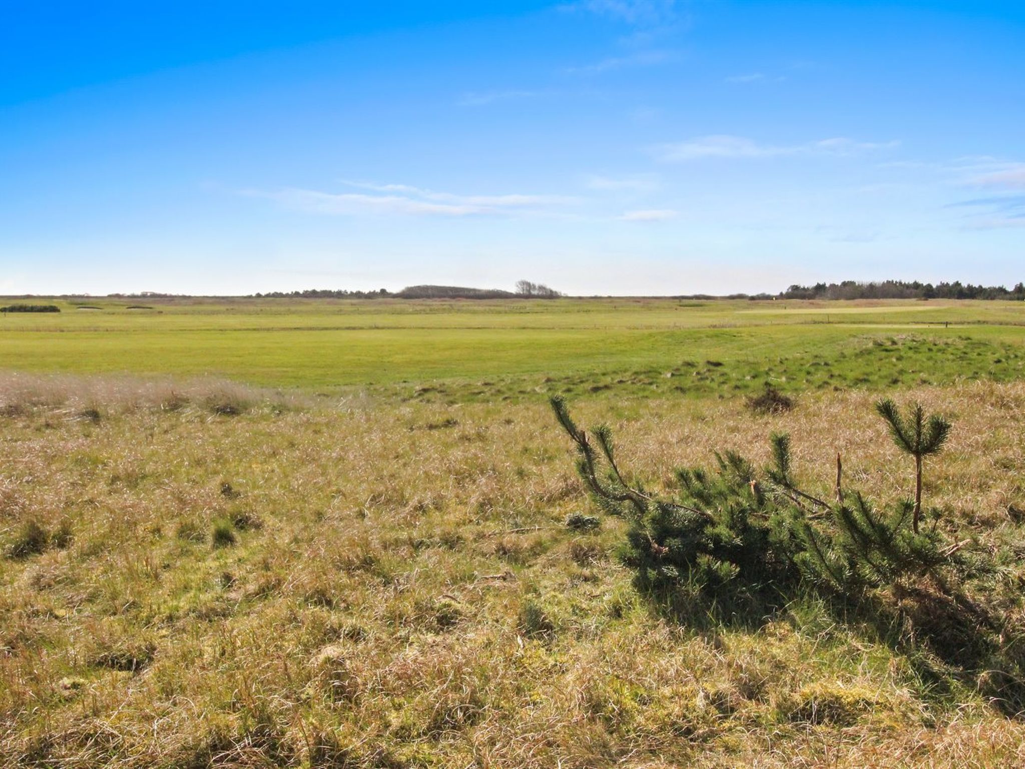 "Maura" - 2.3km from the sea - Outside
