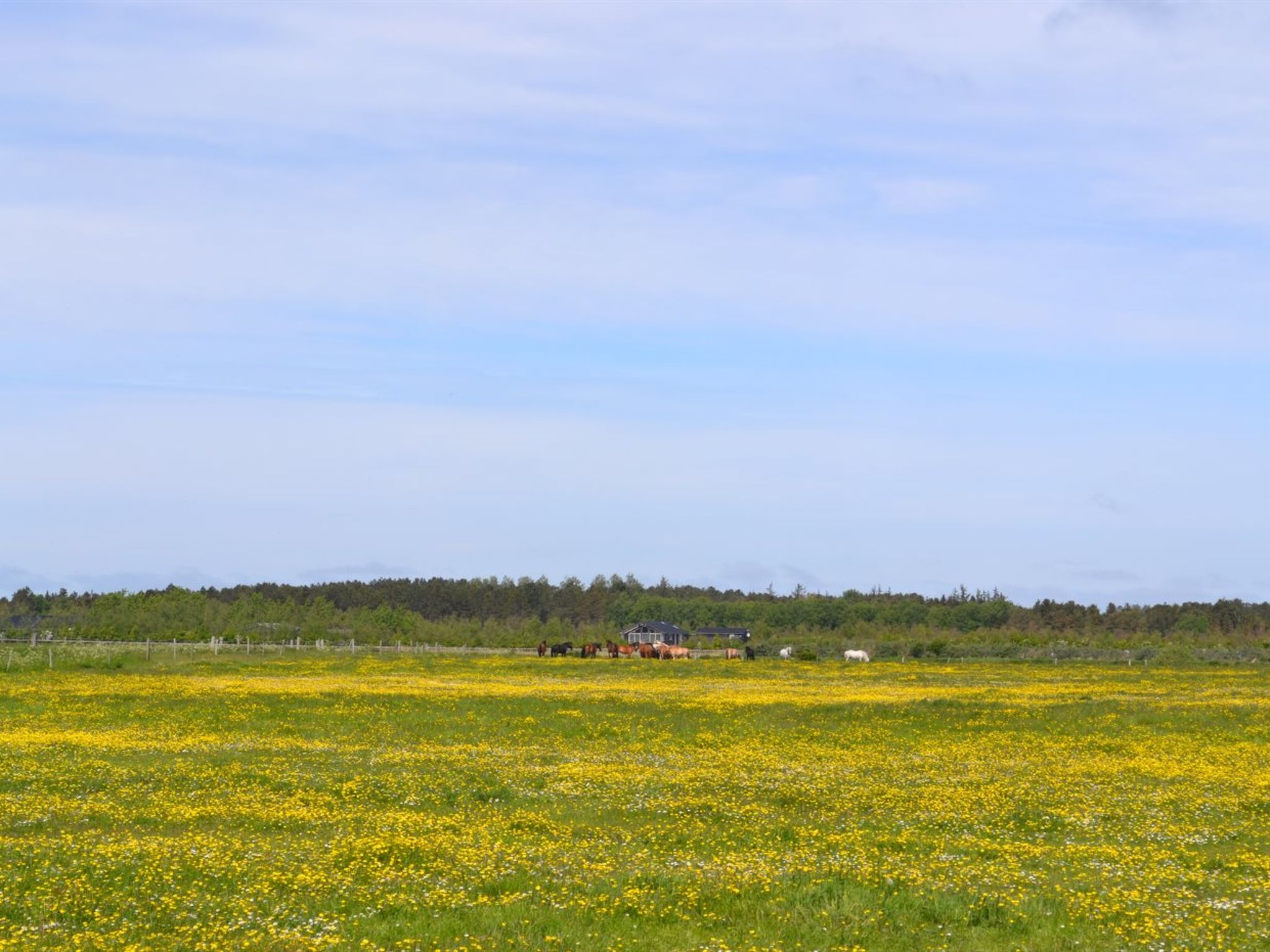 "Auti" - 2.3km from the sea - Outside