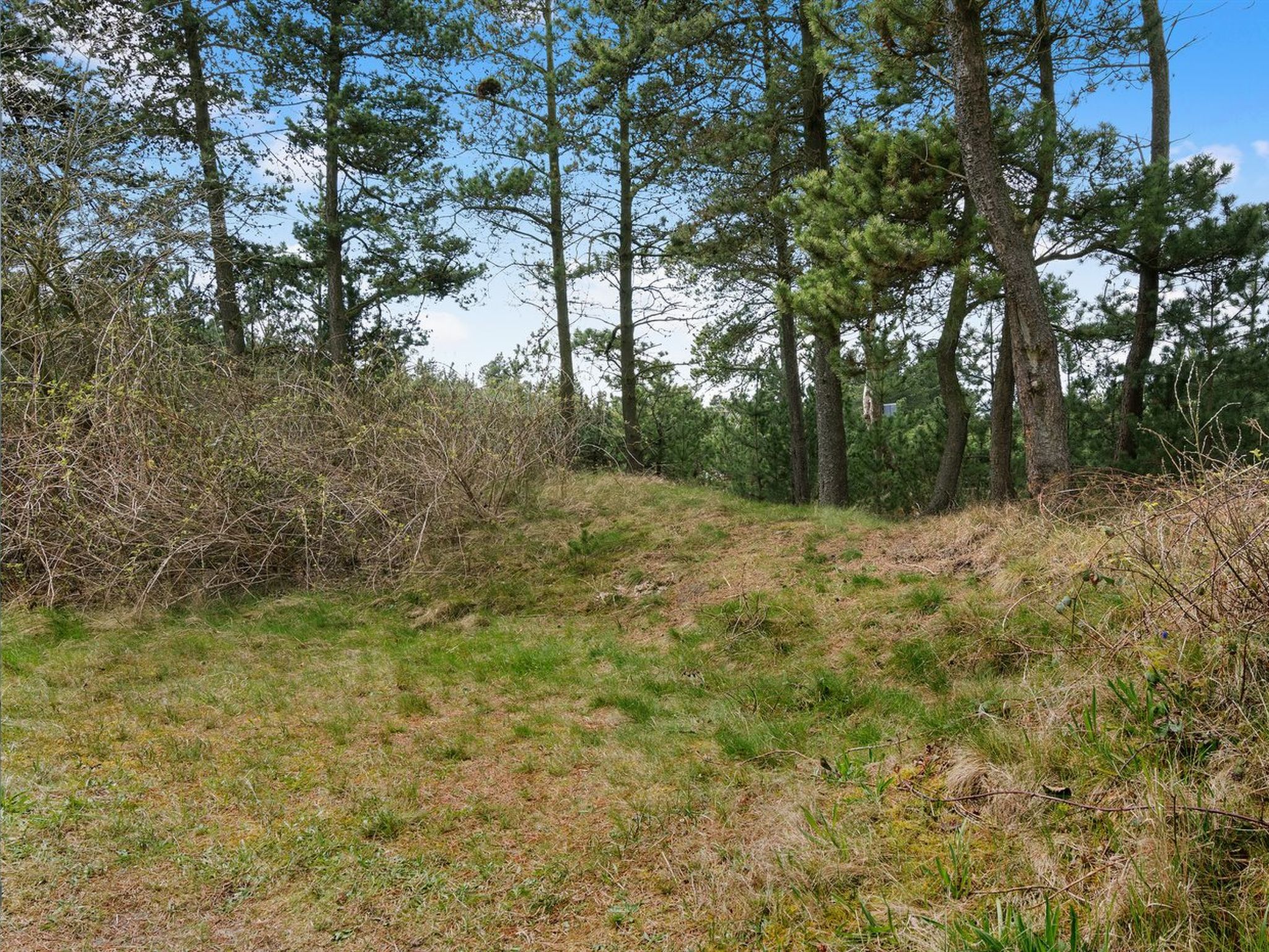 "Nael" - 1.6km from the sea - Draußen