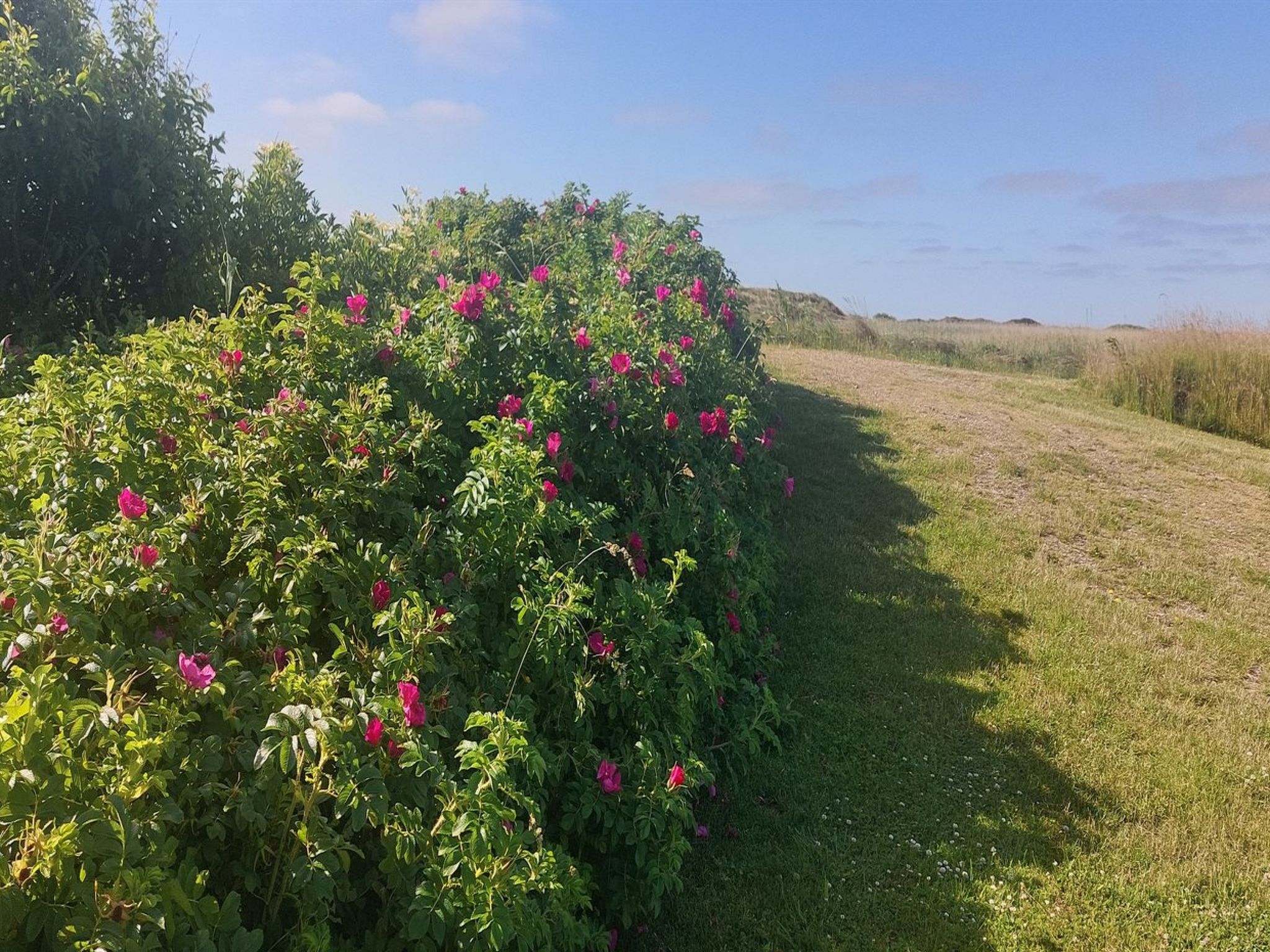 "Chrisse" - 550m from the sea - Buiten
