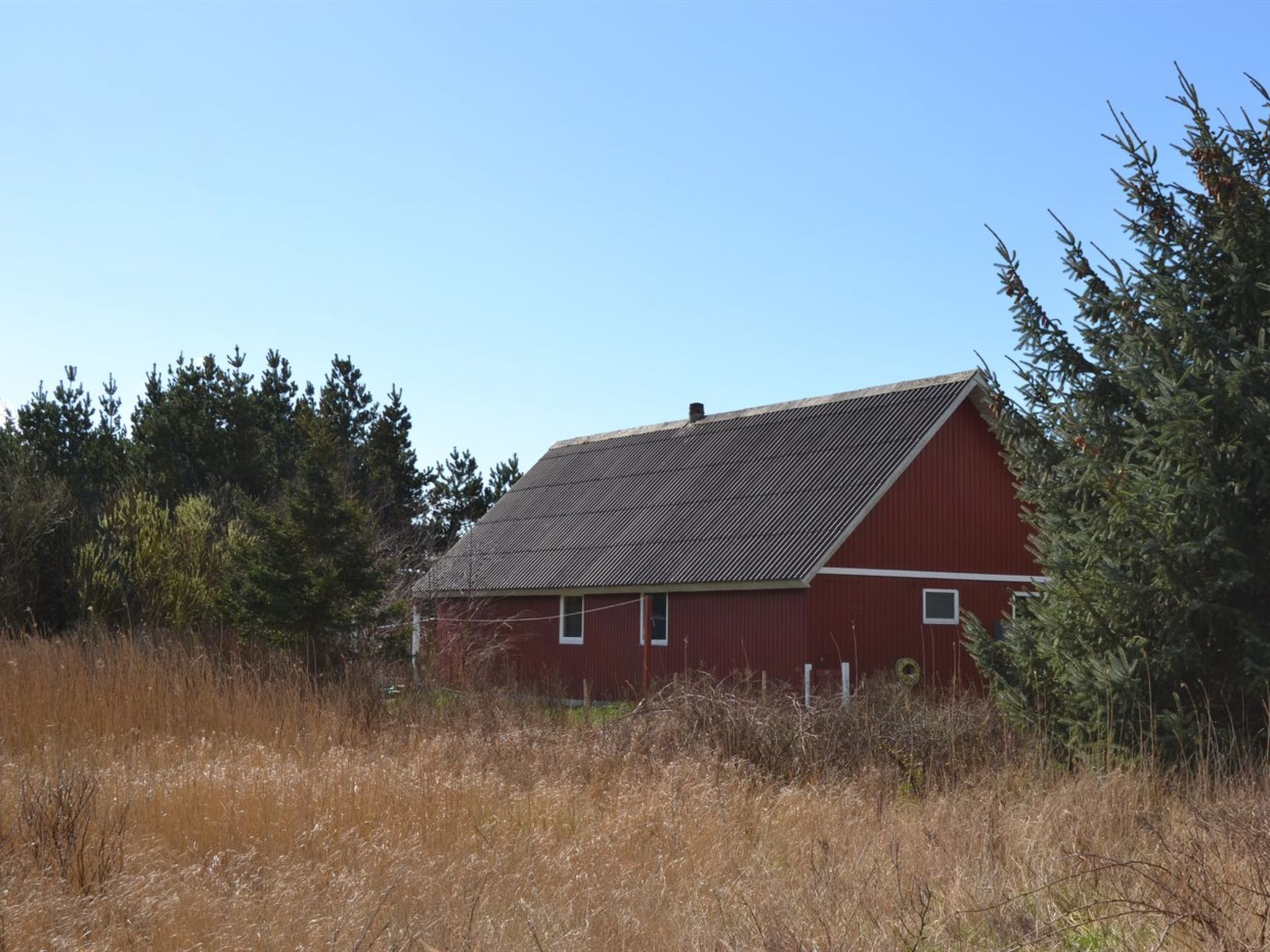 "Kabbi" - 2.6km from the sea — House (5 of 19)