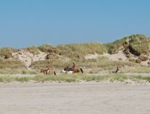 Licht vakantiehuis Faidra op Rømø, 2,5 km van zee - thumbnail 6