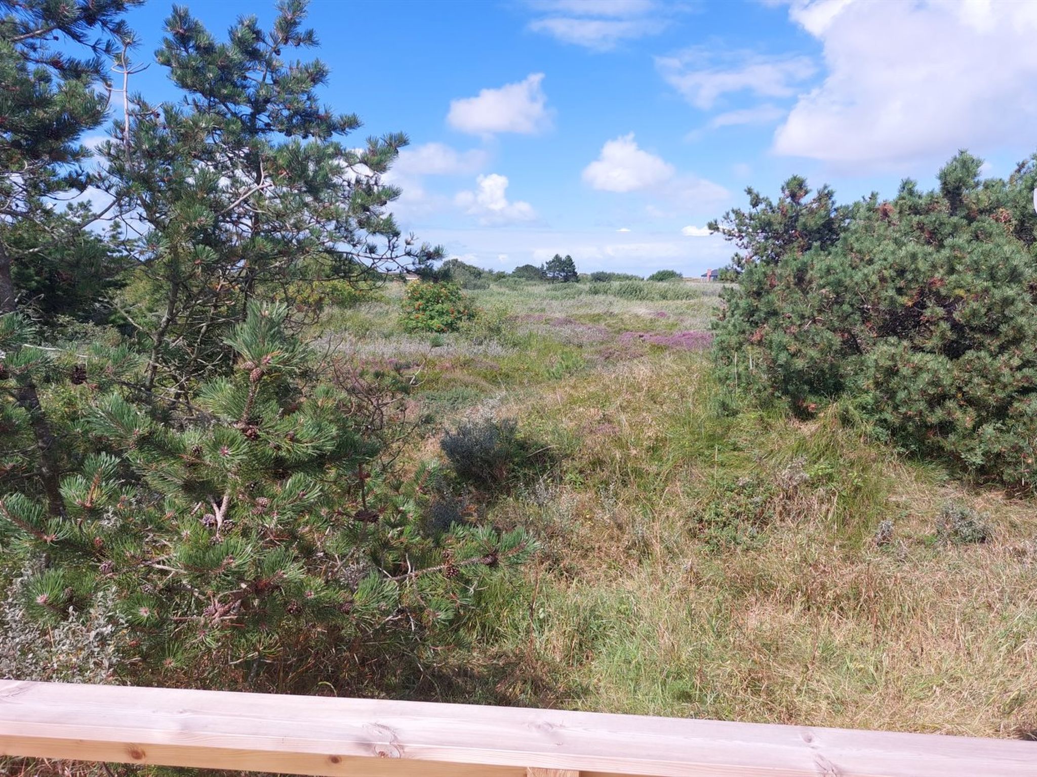 "Elgin" - 1.8km from the sea - Buiten