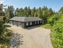 Ferienhaus Svanborg