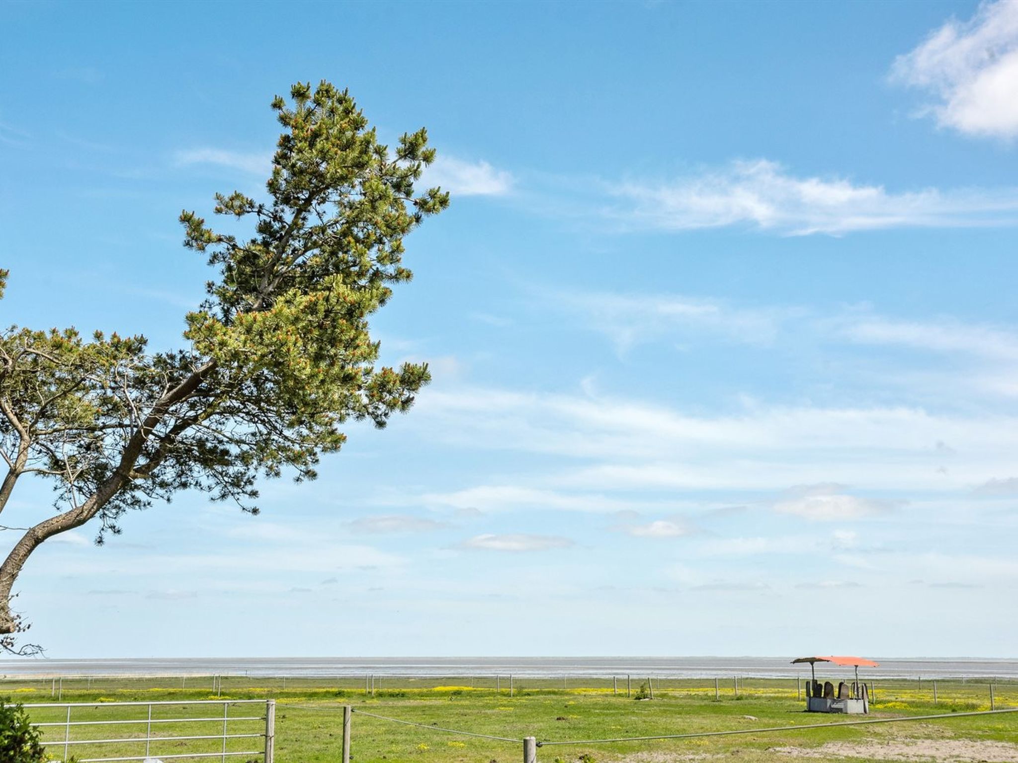 "Svanborg" - 3.7km from the sea - Outside