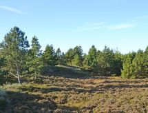Vrijstaande vakantiewoning Mariette met sauna, 3 km van Rømø strand - thumbnail 4