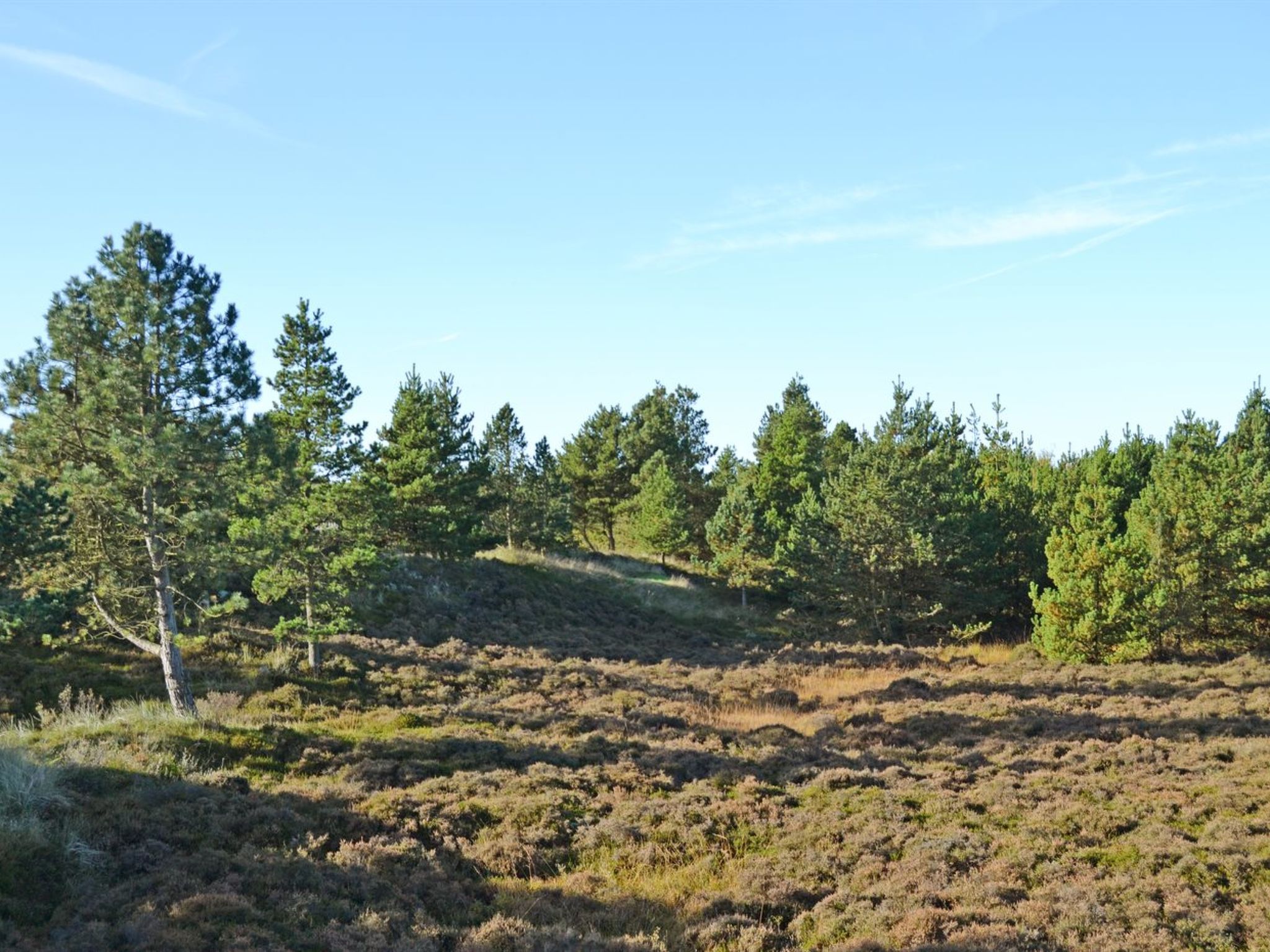 "Mariette" - 3.1km from the sea-Buiten