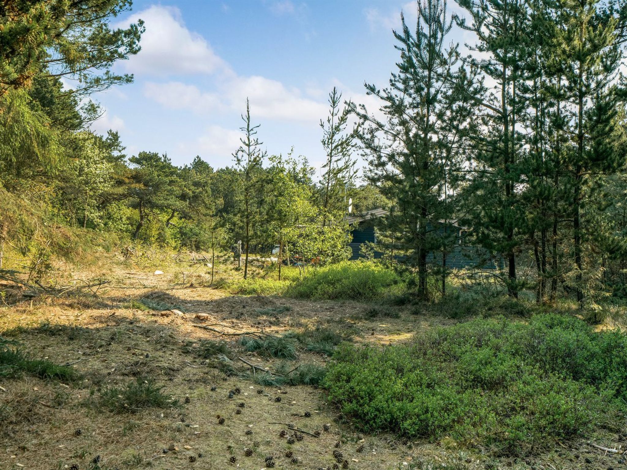 "Herborg" - 1km from the sea - Buiten