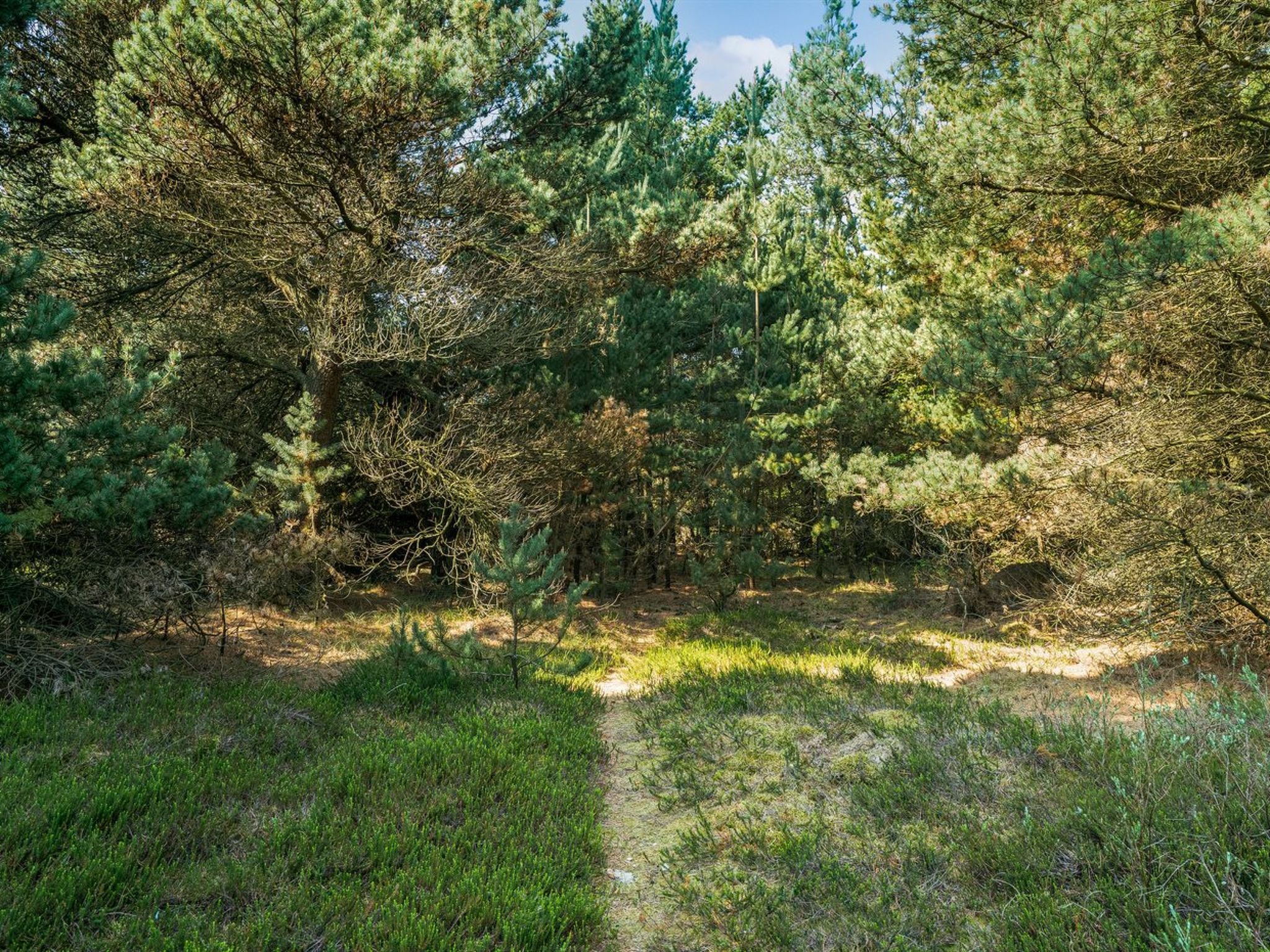 "Herborg" - 1km from the sea - Buiten