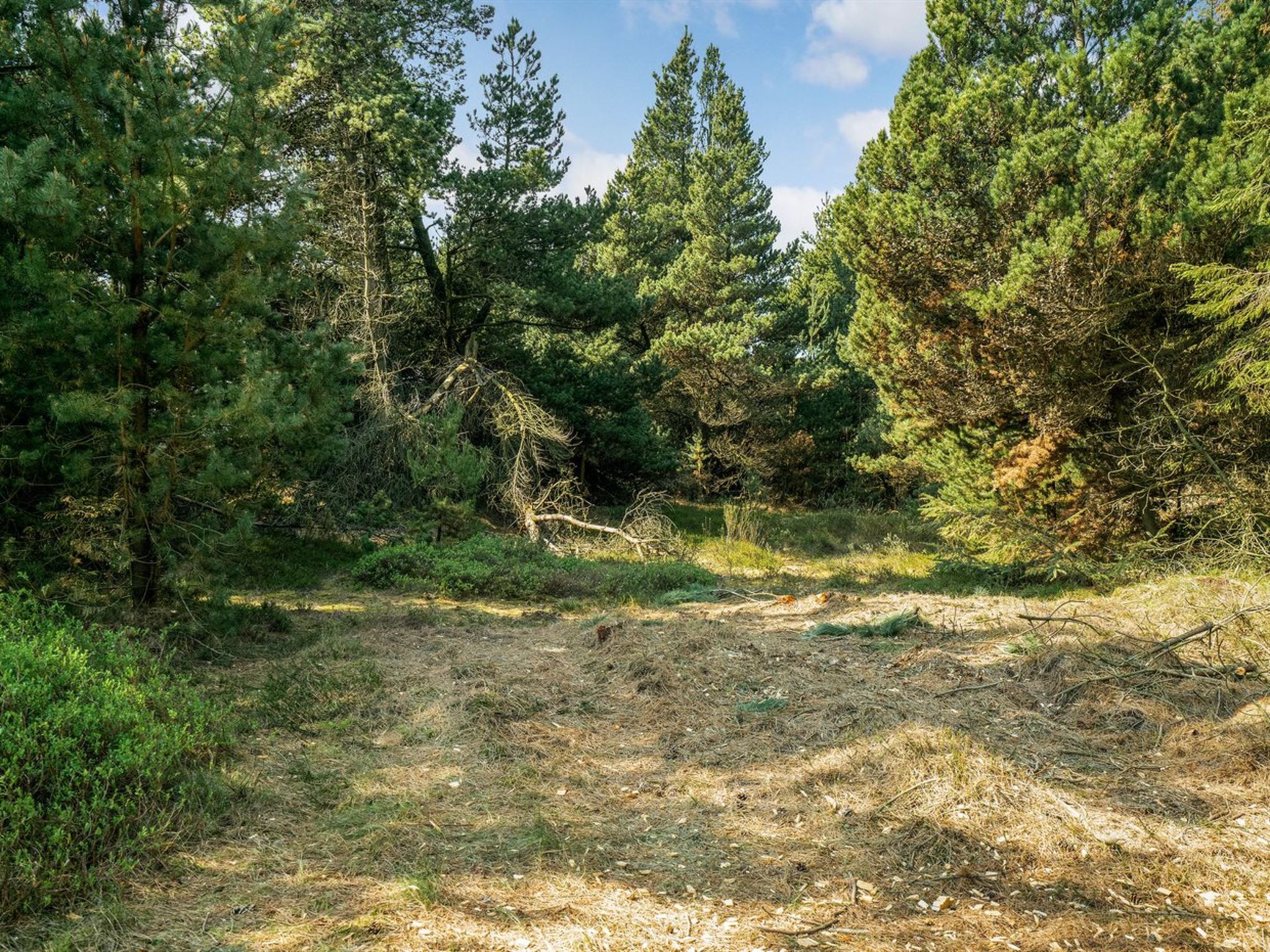 "Herborg" - 1km from the sea - Buiten
