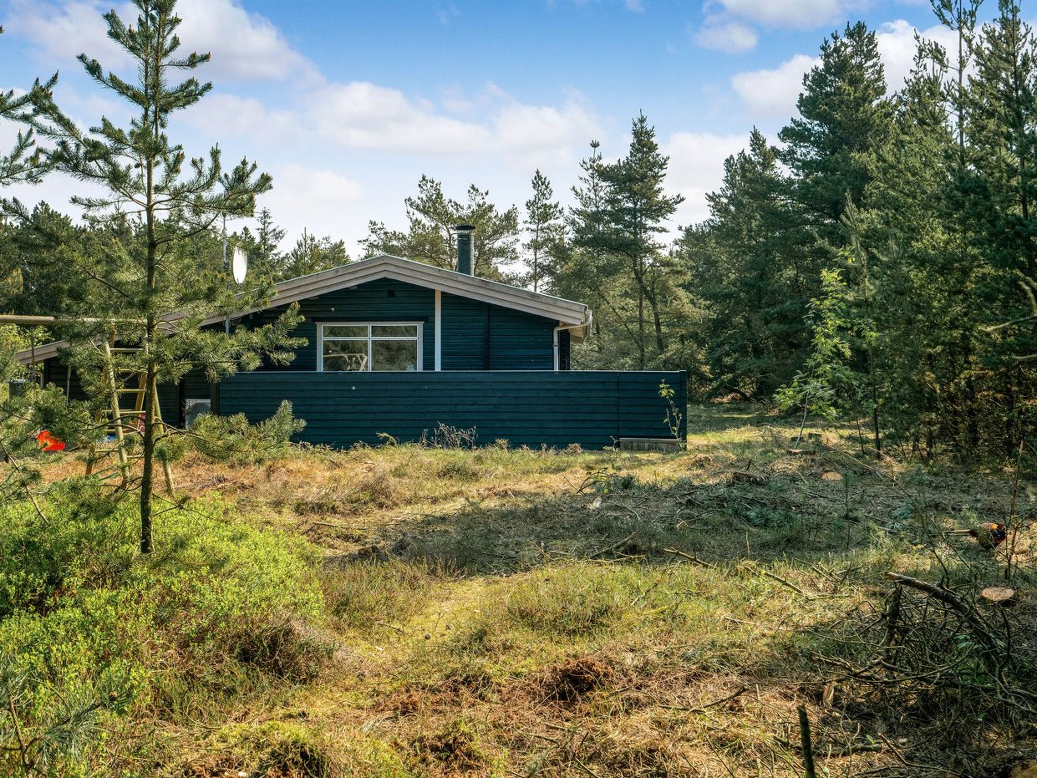 "Herborg" - 1km from the sea - Buiten