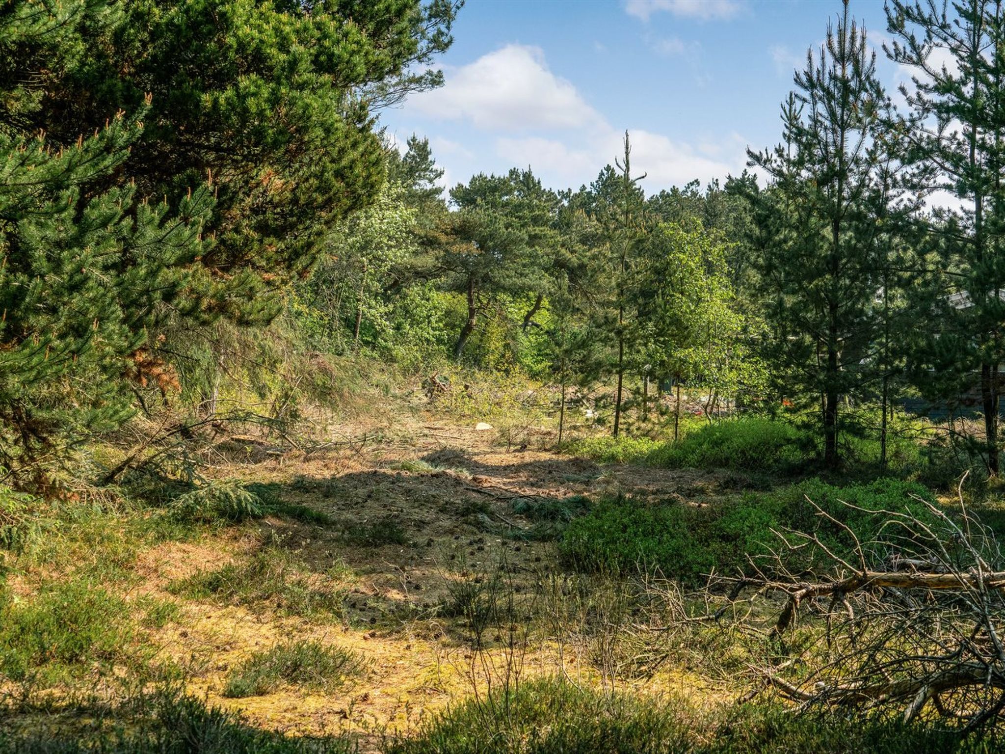 "Herborg" - 1km from the sea - Buiten