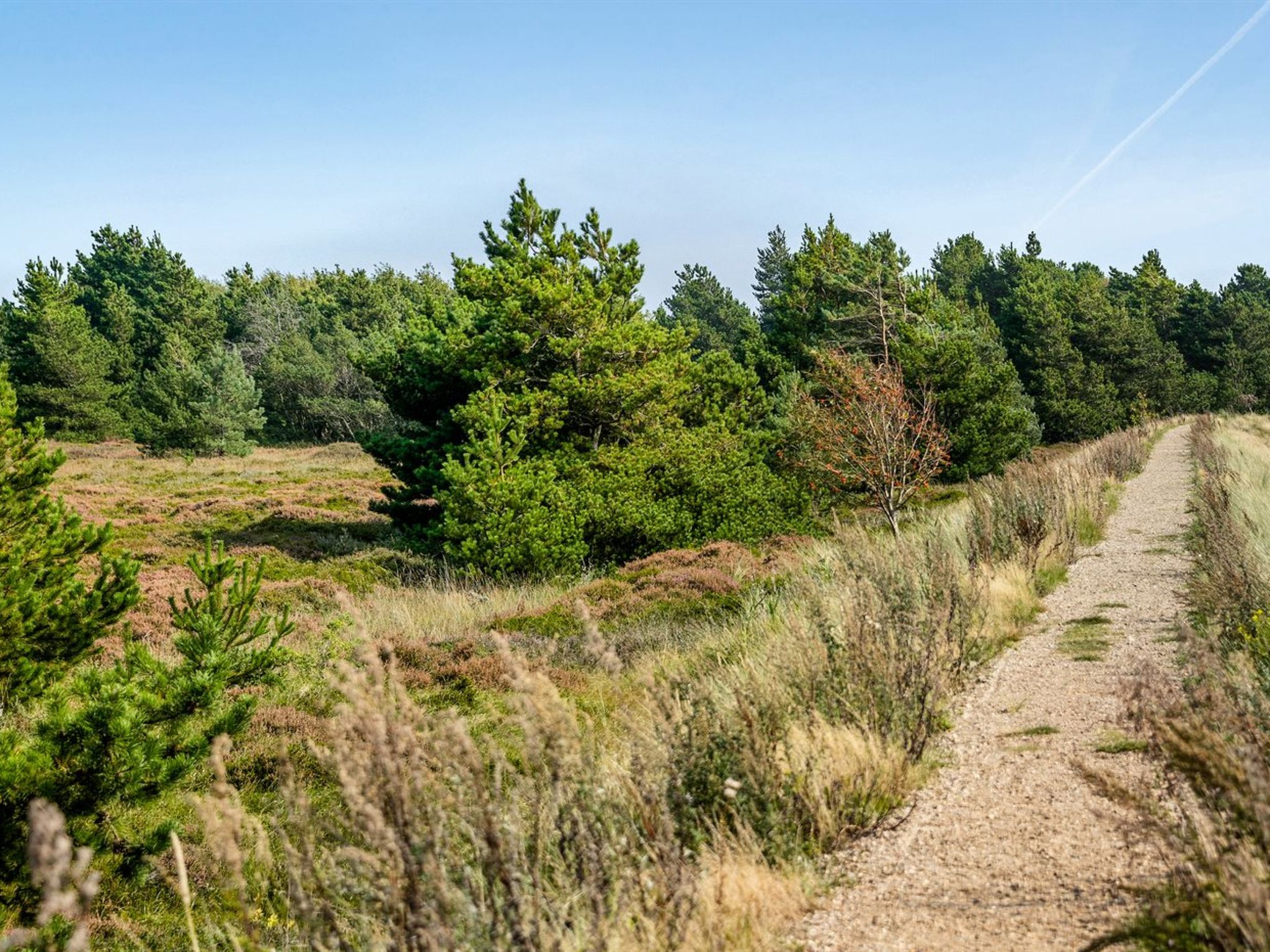 "Gabriela" - 1km from the sea - Draußen