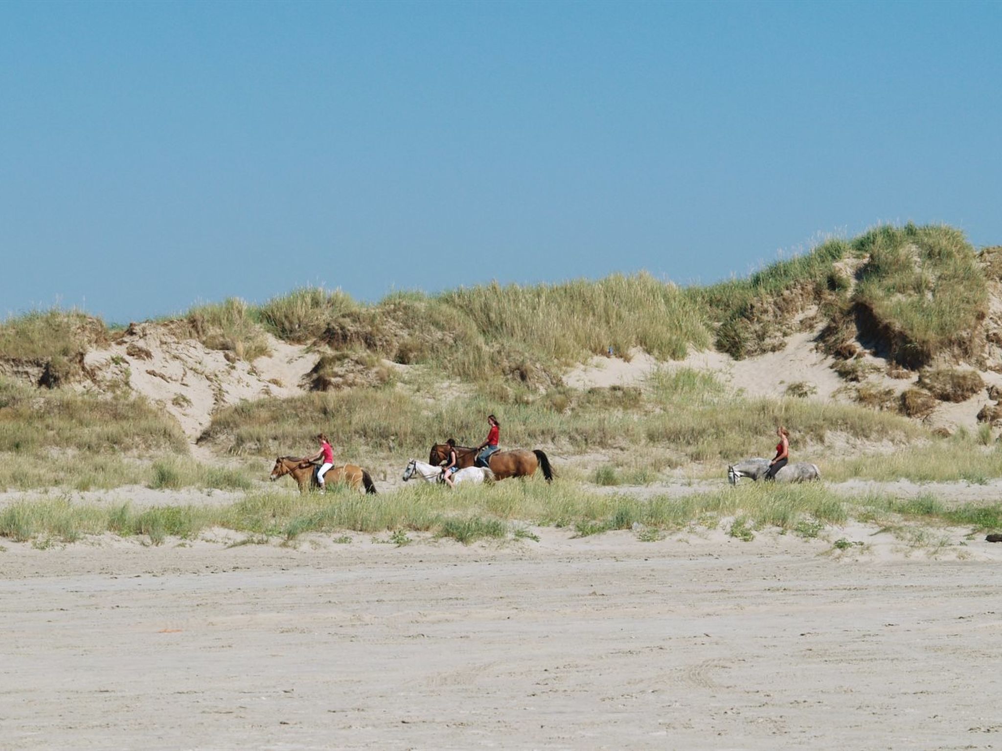 "Cora" - 1km from the sea