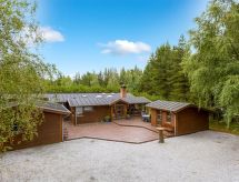 Patrizia: Ruime vakantiewoning met sauna en jacuzzi, 1 km van zee op Rømø - thumbnail 1