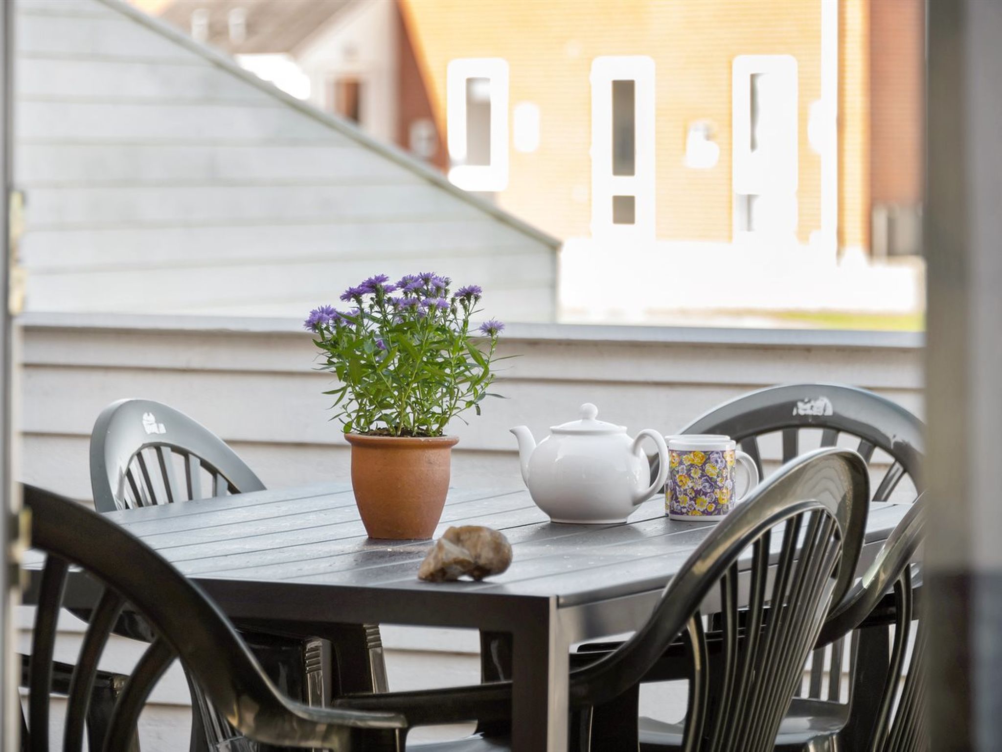 "Odger" - 2.3km from the sea — Terrace (3 of 36)