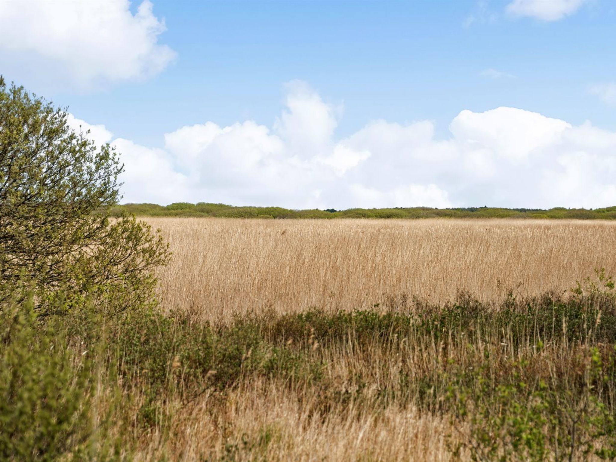 "Hermandine" - 700m from the sea-Buiten