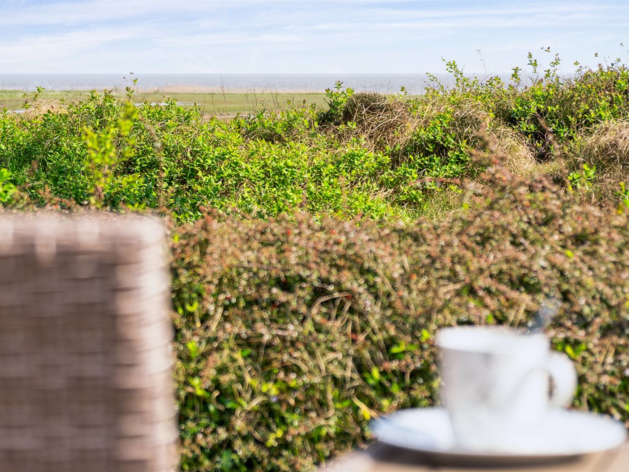 "Sedine" - 3.9km from the sea