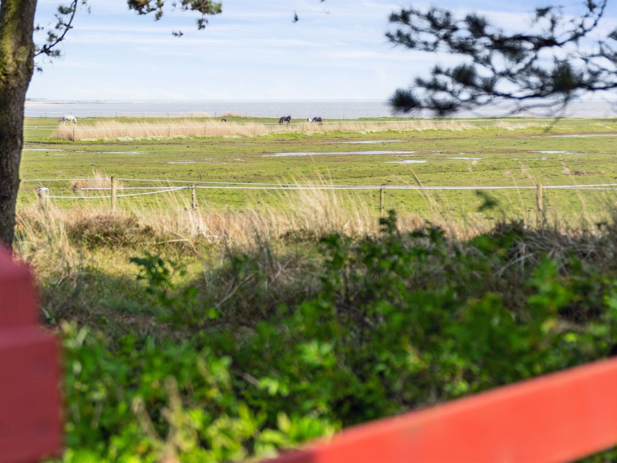 "Sedine" - 3.9km from the sea - Buiten