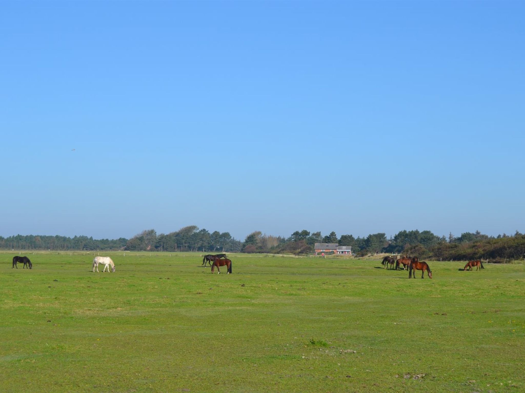 "Lin" - 2.9km from the sea - Outside