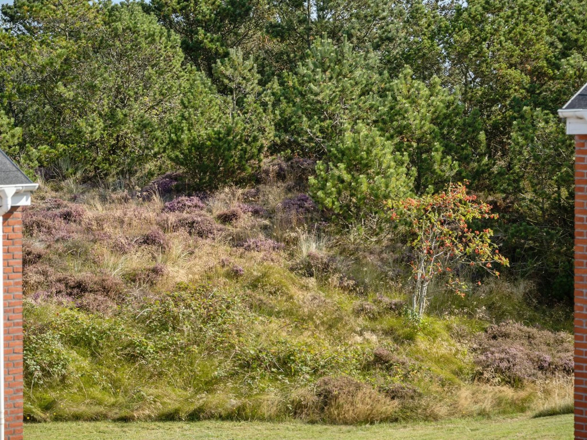 "Maylin" - 2.3km from the sea - Outside