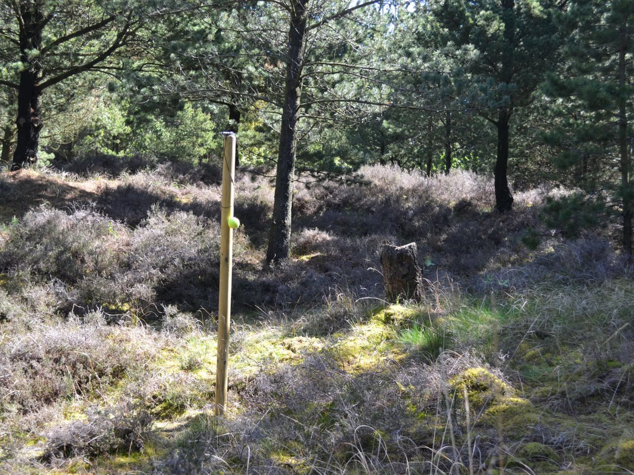 "Angret" - 3.5km from the sea - Outside