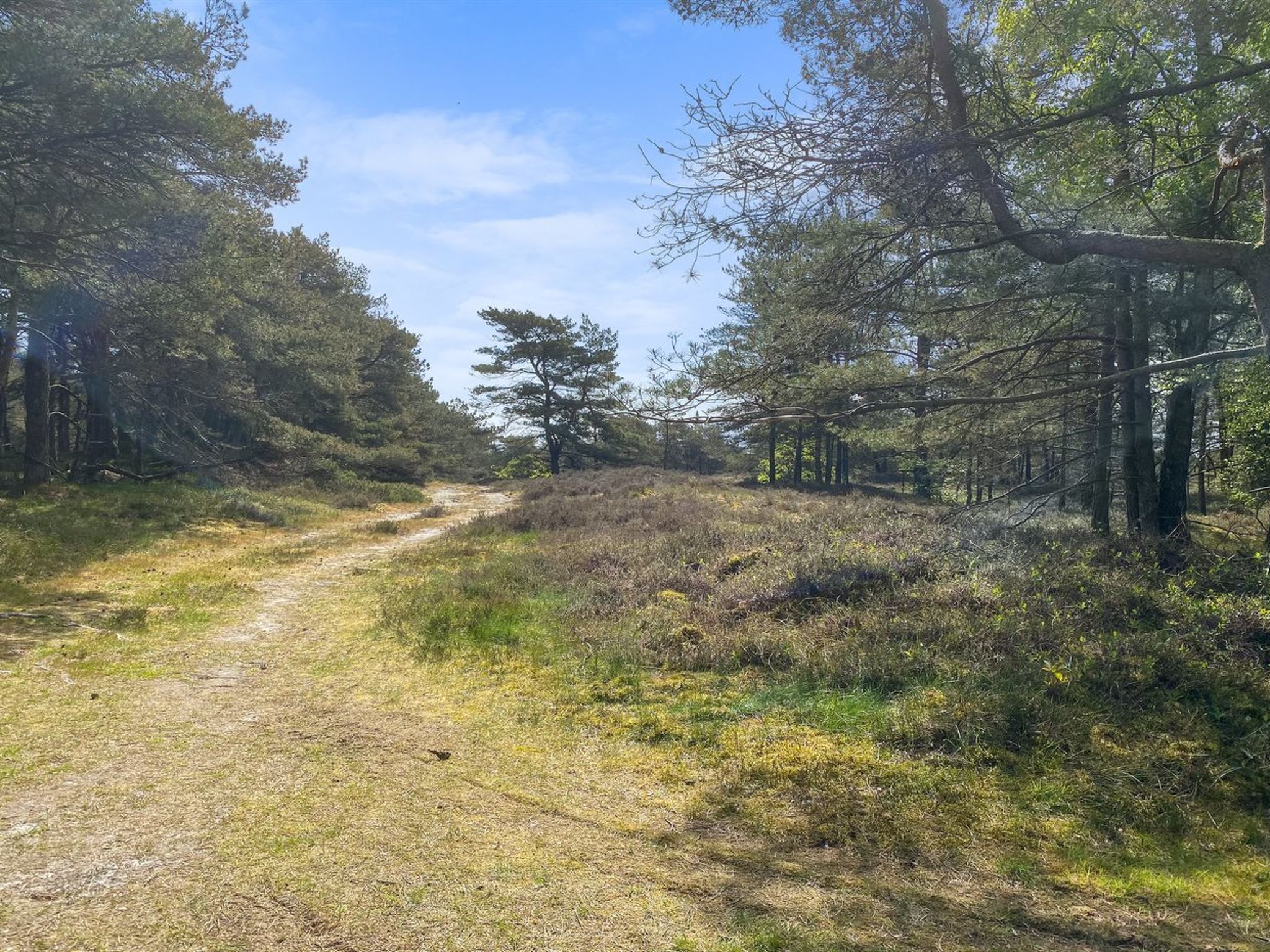 "Mikaela" - 1km from the sea - Dehors